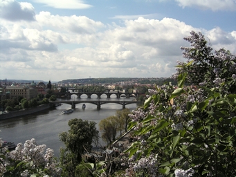 Praha