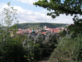 Praha